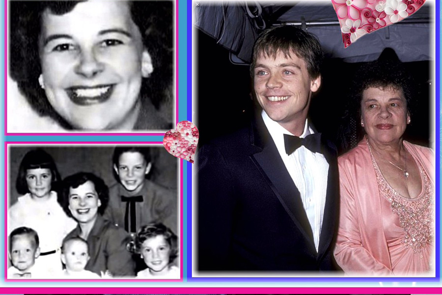 virginia suzanne hamill 1
